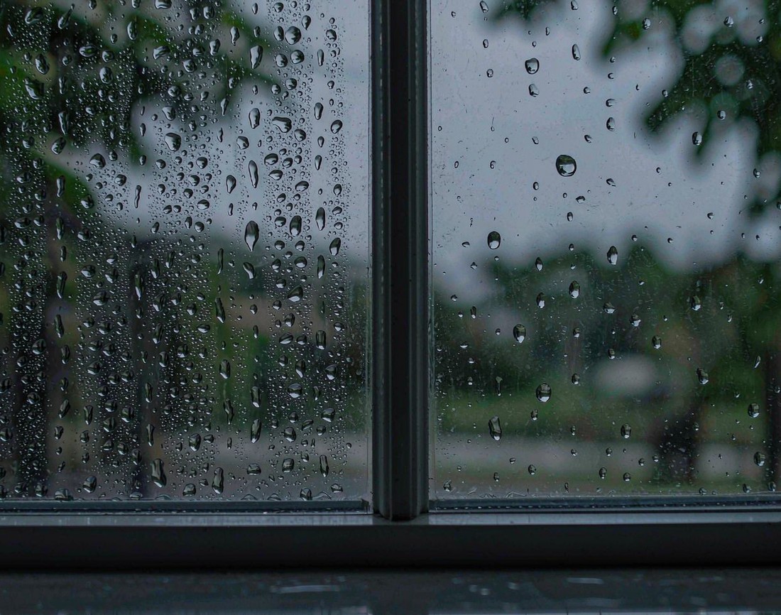 雨天,我在窗边数了一百片叶子