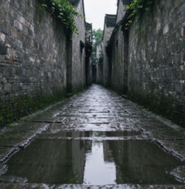 雨后青石巷：石板上的一滩天光